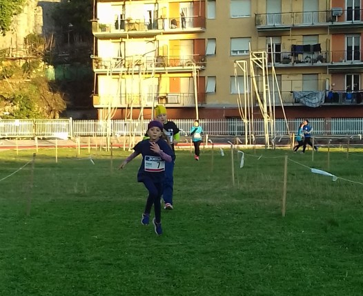 20180113_162058 - Copia