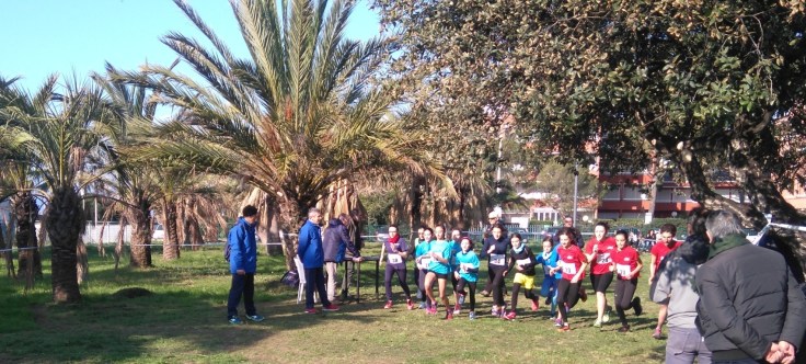 DSC_0592 (FILEminimizer)